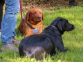 IMG_9338_edited