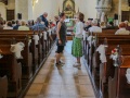 IMG_6729_edited